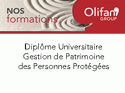 diplome universitaire gestion de patrimoine
