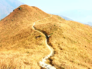 colline, chemin, herbe