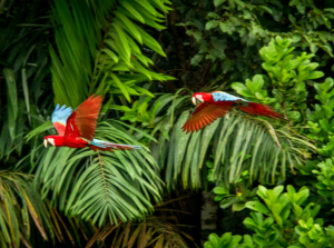 étranger ou frontalier : impôts et fiscalité