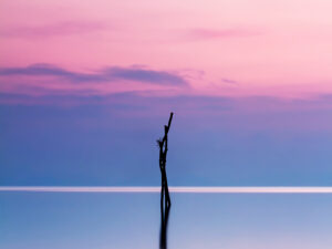 Dutreil : la location meublée au programme de l’été !  Une opportunité s’ouvre à tous ceux qui savent se décider vite