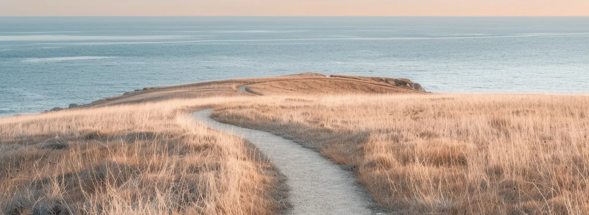 Sentier à travers les herbes sèches vers la mer, image d'une transmission de patrimoine préparée étape par étape