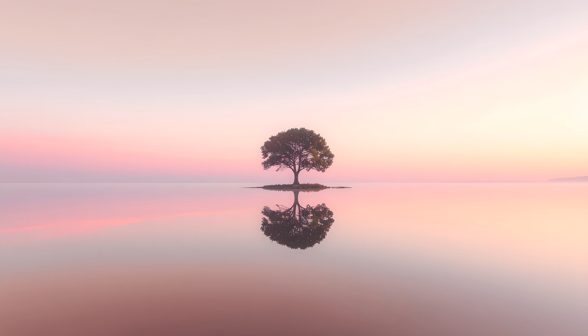 Arbre isolé se reflétant dans une eau calme au lever du jour